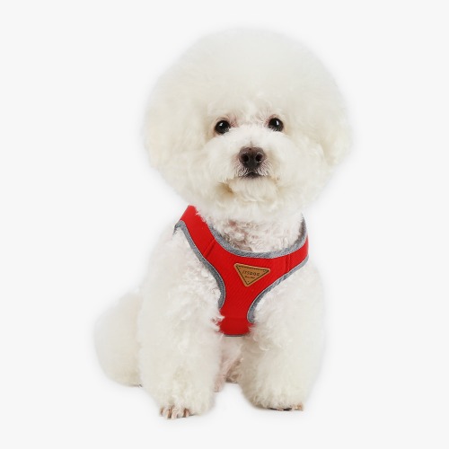 Sporty Harness Set (Red)
